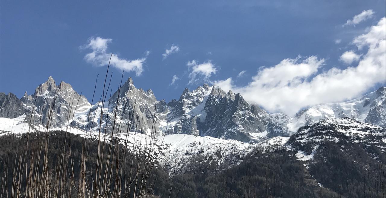 Appart'Hotel Aiguille Verte & Spa Chamonix Eksteriør bilde